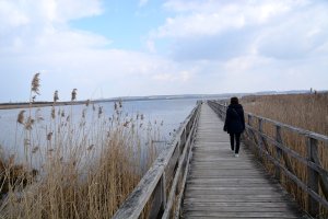 27.März 2018 12:09