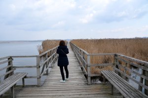 27.März 2018 12:20
